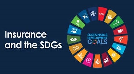 INS & SDGS